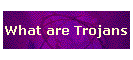 What are Trojans